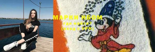 mdpv Вяземский