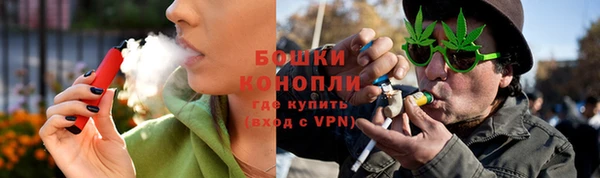 mdpv Вяземский