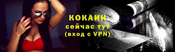 mdpv Вяземский
