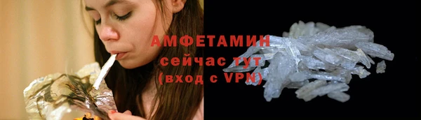 mdpv Вяземский