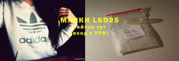 mdpv Вяземский