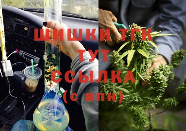 mdpv Вяземский