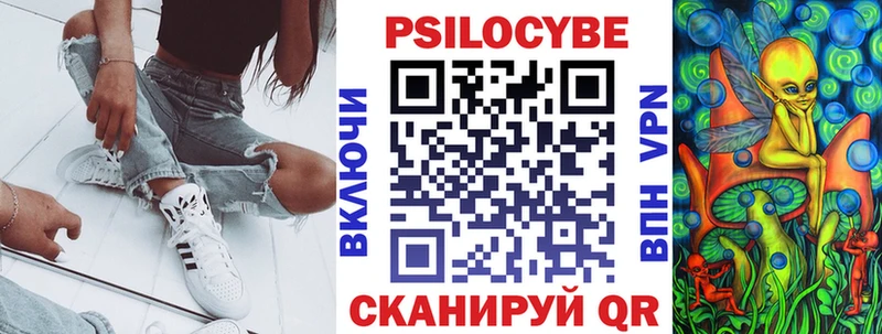 Псилоцибиновые грибы Psilocybe  Купить где  Бутурлиновка 
